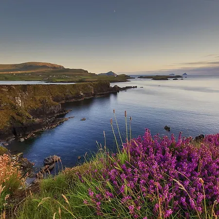 Townhouse By Trident Homes